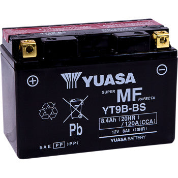AGM Maintenance-Free Battery - YT9B-BS