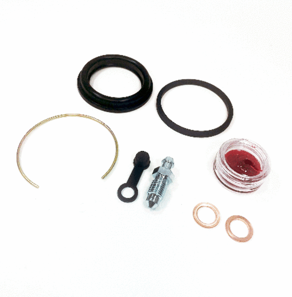 Brake Caliper Seal Kit for select Harley Davidson models - Rear