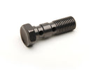 Banjo Bolt M10x1.25 Aluminum Anodized - Buy 2 save 10%, Buy 3 or more save 20%-20