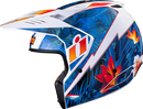 ICON Elsinore Helmet Kaonohi-3