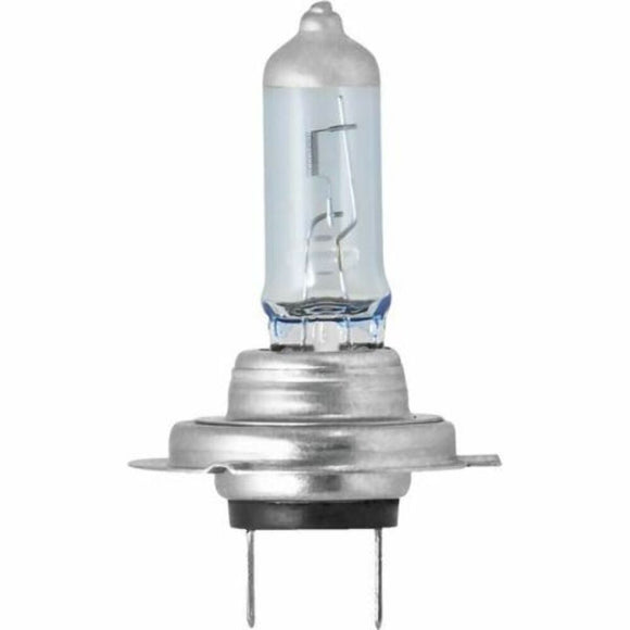PIAA H8 Xtreme White Plus Halogen Replacement Bulb