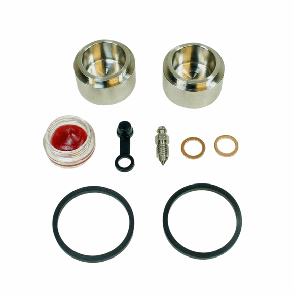 Brake Caliper Seal Kit for 1976 Honda Goldwing 1000:GL1000LTD Limited-Rear - for 1 Caliper